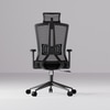 Regalia High Back Mesh Office Chair with Headrest in Black Colour