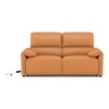 Leeroy Two Seater Leather Recliner Sofa in Marigold Colour