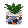 Attractive Aloe Vera Plant With Leafy Print Ceramic Pot