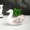 Aloe Vera Plant Inside An Artistic White Swan Ceramic Pot