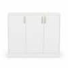 Spydercraft Accent Modern Cabinet in White Finish