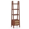 Strava Solid Wood and Cane Bookshelf with in Honey Finish