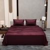 Stoa Paris Double Bedsheet with 2 Pillow Covers sheet with Velvet Wine