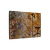 Truss Brown Pieces Barbary Lion Canvas Wall Prints Canvas Wall Prints Set of 3 Multicolor Matte