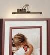 Rosalyn 3 Color LED Adjustable Swivel Picture Light