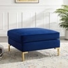 Erik Ottoman in Navy Blue Colour