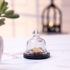 Ireka Homes Dusk Acacia Wood Cake Stand with Glass Dome