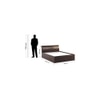 Blaze King Bed With Box Storage