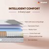Sleepwell Ortho Pro Spring, Euro Top Finish, 3-zone pocket 6 inch Single Pocket Spring Mattress (L x W: 78 inch x 30 inch)