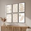 The Castle Decor Boho Abstract Botanical Wall Art Set of 6 Design 3 11x17 Inch