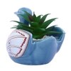 Aloe Vera Plant Inside An Artistic Blue Swan Ceramic Pot