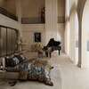 Stoa Paris King Size Enriched Cotton Comforter, 300TC Aesthetic AC Comforter , 300TC Eternal Chase