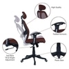 Reaii Mid Back Ergonomic Chair in Brown Colour