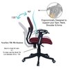 Aaeroa Low Back Ergonomic Chair in Maroon Colour