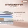 Sleepwell Ortho Pro Spring, Euro Top Finish, 3-zone pocket 8 inch Single Pocket Spring Mattress (L x W: 72 inch x 30 inch)