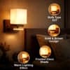 Eliante Key Wood And Iron Wall Light With Glass In Gold And Brown Colour
