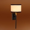Devansh Metal Electric Wall Light in Black Colour with Multi Shade Count of 1 Light