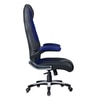 Stylish Gaming Chair In Black & Blue