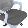 Xeanea Mid Back Ergonomic Chair in Grey Colour