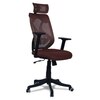 Zeeazyana High Back Ergonomic Chair in Brown Colour