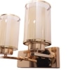 Eliante Modern Wall Lights Mild Steel & Glass Material Gold & Champaign Finish