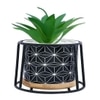 Highly Attractive Succulent Plant With A Geometric Patterned Ceramic Pot In A Stand