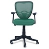 Odrione Low Back Ergonomic Chair in Dark Green Colour