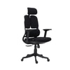 Merry Premium Ergonomic Office Chair High Back in Black Colour
