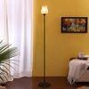 Mitchell Black Glass Shade Floor Lamp