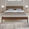 BLUEWUD Roverb Engineered Wood Queen Double Bed Without Storage Box for Kids Adult Bedroom Home Furniture (Brown Maple / 78 X 60 Mattress Size) - DIY (Do-It-Yourself)