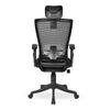 Werner Study Chair in Black Colour