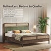 Hanoi Solid Wood Cane King Size Nonstorage Bed In Danish Walnut Finish with Deep Olive Colour