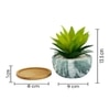 Artificial Aloe Vera Plant In A Patterned Ceramic Pot With A Wooden Plate