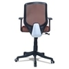 Xxeana Low Back Ergonomic Chair in Brown Colour