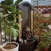 Slate Ganesha Brown Fiber Glass Indoor Fountain