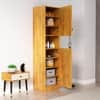 Hexa Red Wooden 2 Door Wardrobe with Hanging Space in Giant Wood Colour