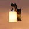 Devansh Solid Wood Electric Wall Light in Brown Colour with off-white Shade Count of 1 Light