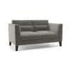 Lewis 2 Seater Fabric Sofa in Ash Grey Velvet Colour