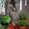 Grey Tree Crafted Cascade Water Fountain