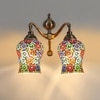 Devansh Metal Electric Wall Light in Multi Colour with Multi Shade Count of 2 Lights