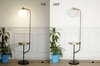Flemish Globe Glass Metal Single Light Shelf Floor Lamp