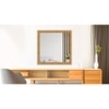 Decorative Mirror and Bathroom Mirror