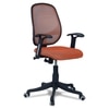 Goolda Low Back Ergonomic Chair in Orange Colour