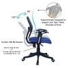 Aaeroa Low Back Ergonomic Chair in Black Colour