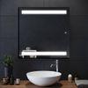 Bathroom Mirror and LED Mirror EL2424LED1FMLSMR