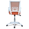 Naamikoa Mid Back Ergonomic Chair in Orange Colour
