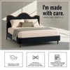 Solara Wave Luxe Queen Size Bed in velvet With Oak wood Frame & Hydraulic Storage