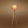 Devansh Tripod Floor Lamp