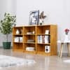 Hexa Engineered Wood Bookshelf Multipurpose Storage Rack in Giant Wood Colour