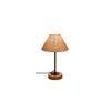 Kylian Beige Natural Fiber Shade Table Lamp with Natural Wood & Iron Base